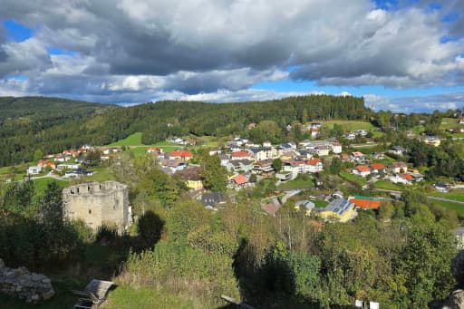 Austria village with woods